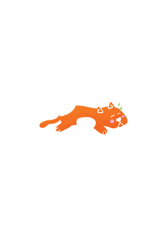 Orange Cat